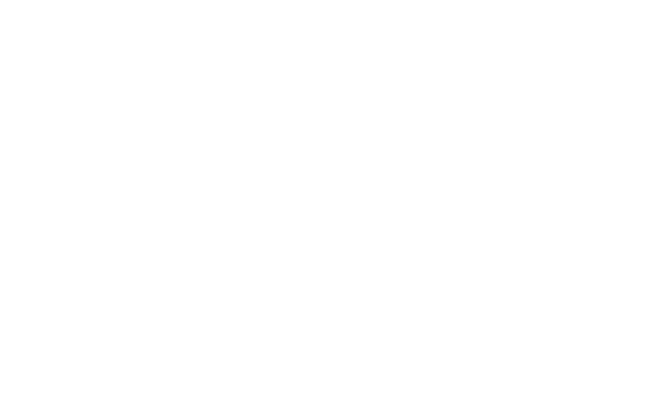 Pub Webb